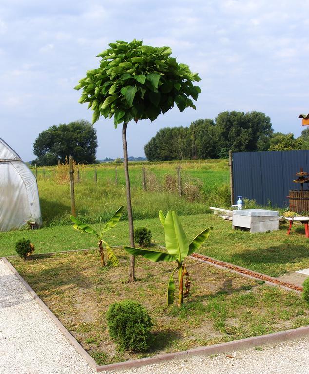 Szerencsecsillag Vendeghaz Hotel Kiskoros Bagian luar foto